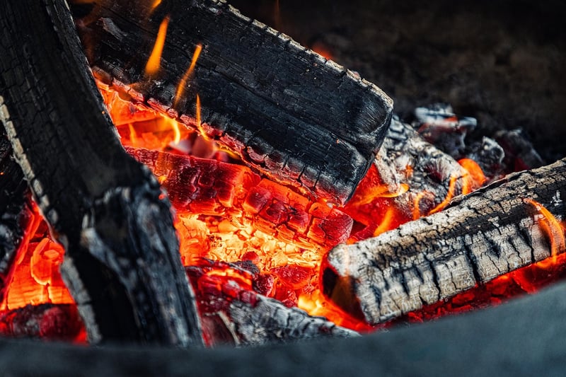 Campfire BBQ