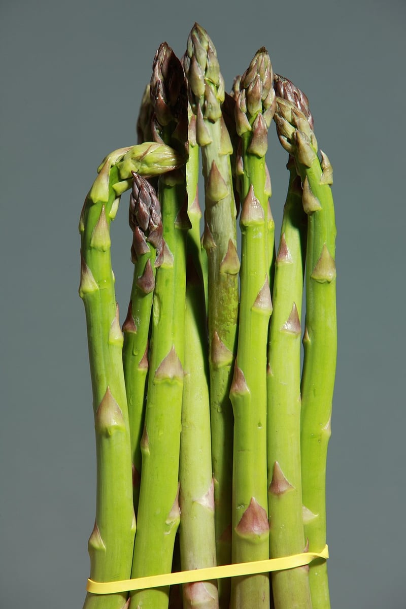 Gourmet Asparagus Dish